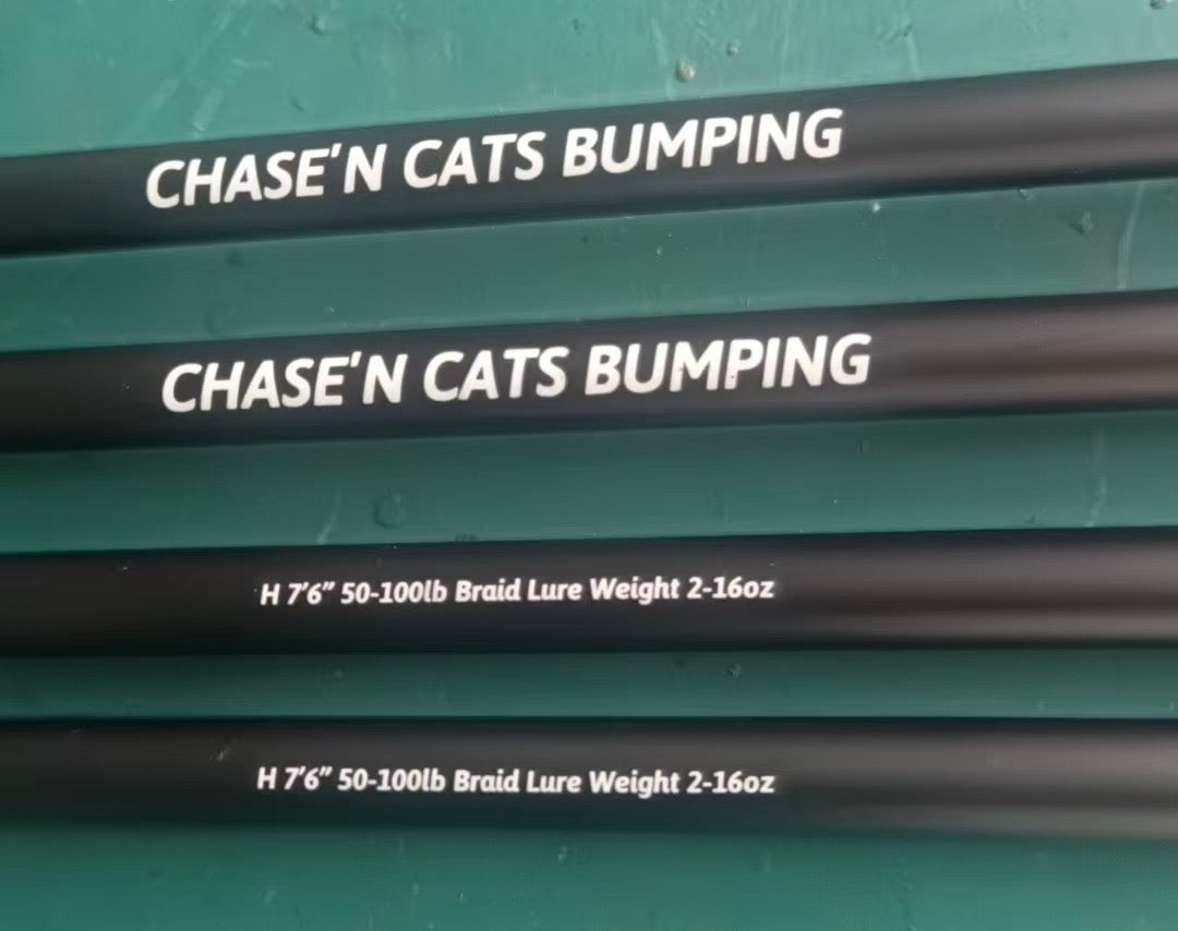 CHASE'N CATS BUMPING ROD