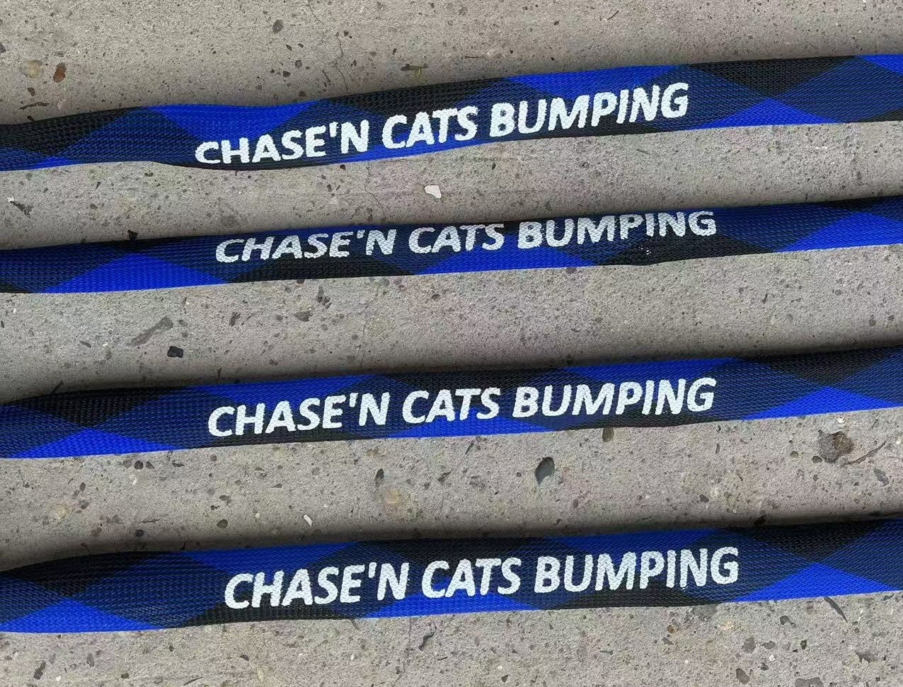 CHASE'N CATS BUMPING ROD